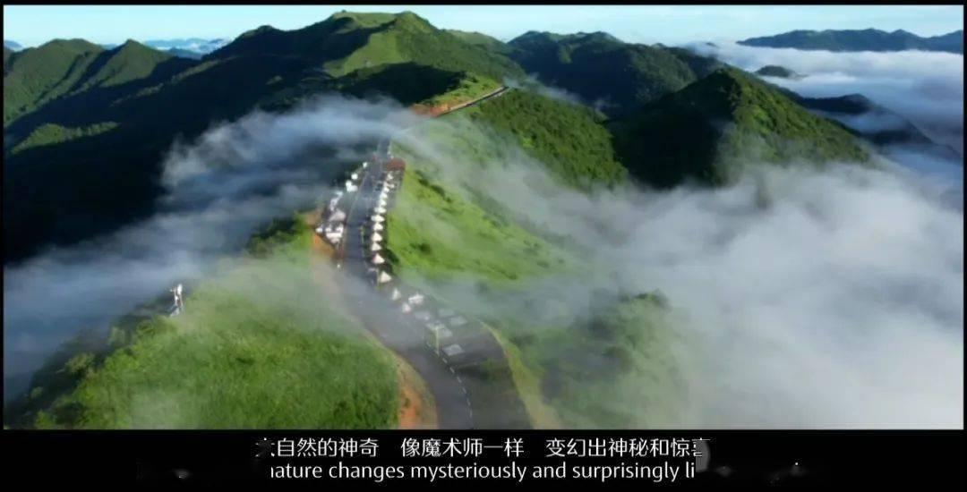 九张羊皮纸